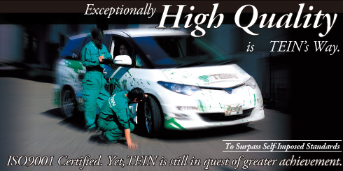 Exceptionally High Quality is TEIN's Way.