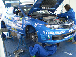P-WRC5 ꡼ꥢǥ˥