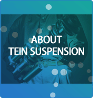 About TEIN Suspension