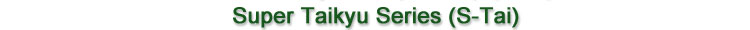 Super Taikyu Series (S-Tai)