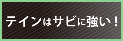 TEINはサビに強い