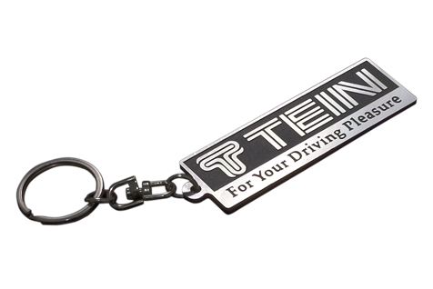 TEIN LOGO PLATE KEY CHAIN