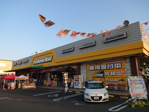 Tein Co Jp イエローハット 掛川 販売店情報